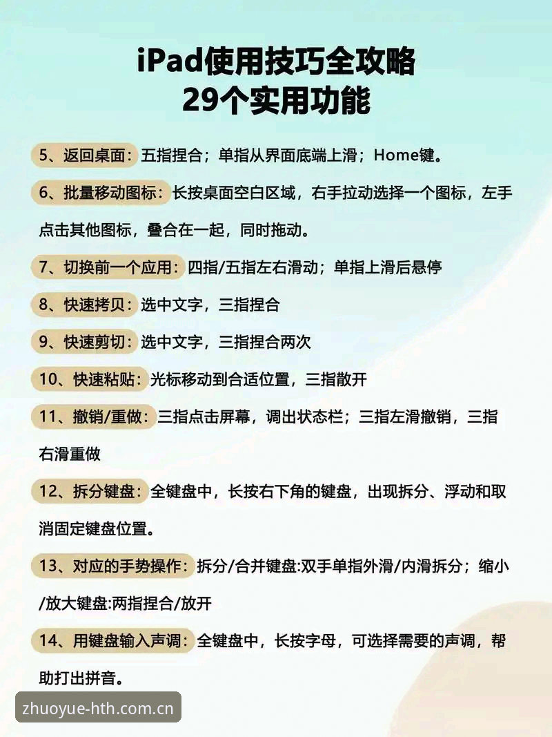 华体会平台高频使用者的下载与操作全攻略——从APP适配到替代站选择的实用指南